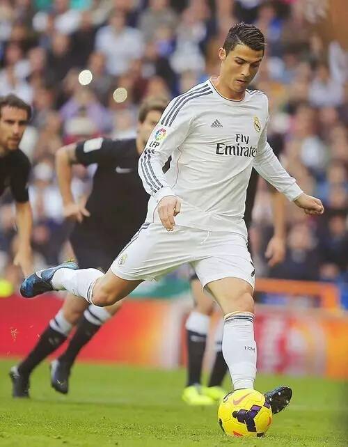 因此葡萄牙 因此葡萄牙