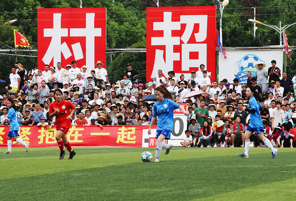 新星在伯纳 新星在伯纳