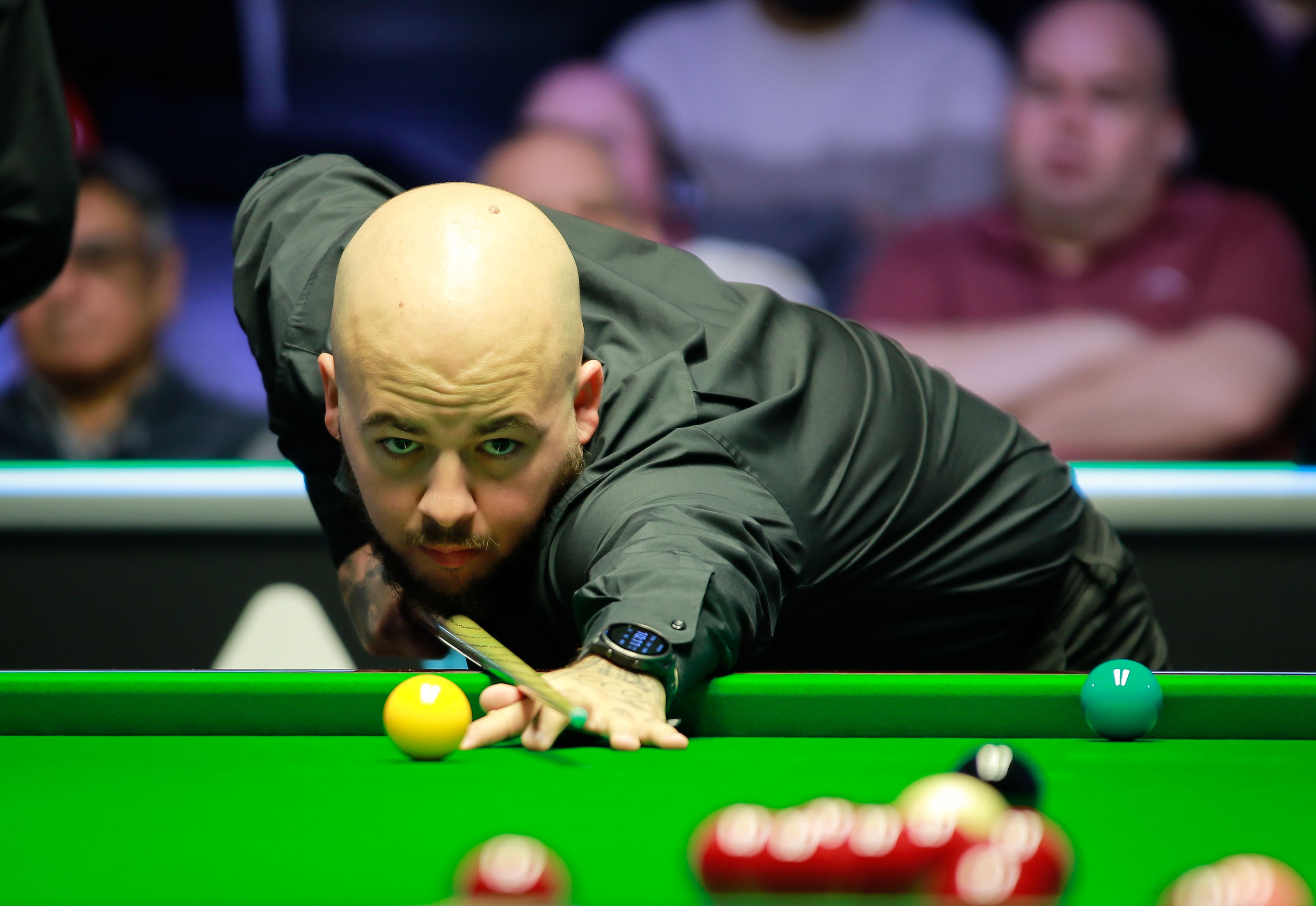 哈蘭德從禁 哈蘭德從禁